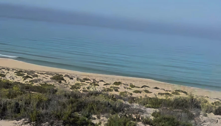 Terreno para Venda em Comporta Foto 24
