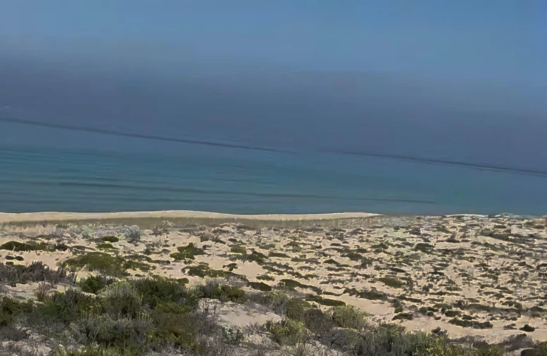 Terreno para Venda em Comporta Foto 25
