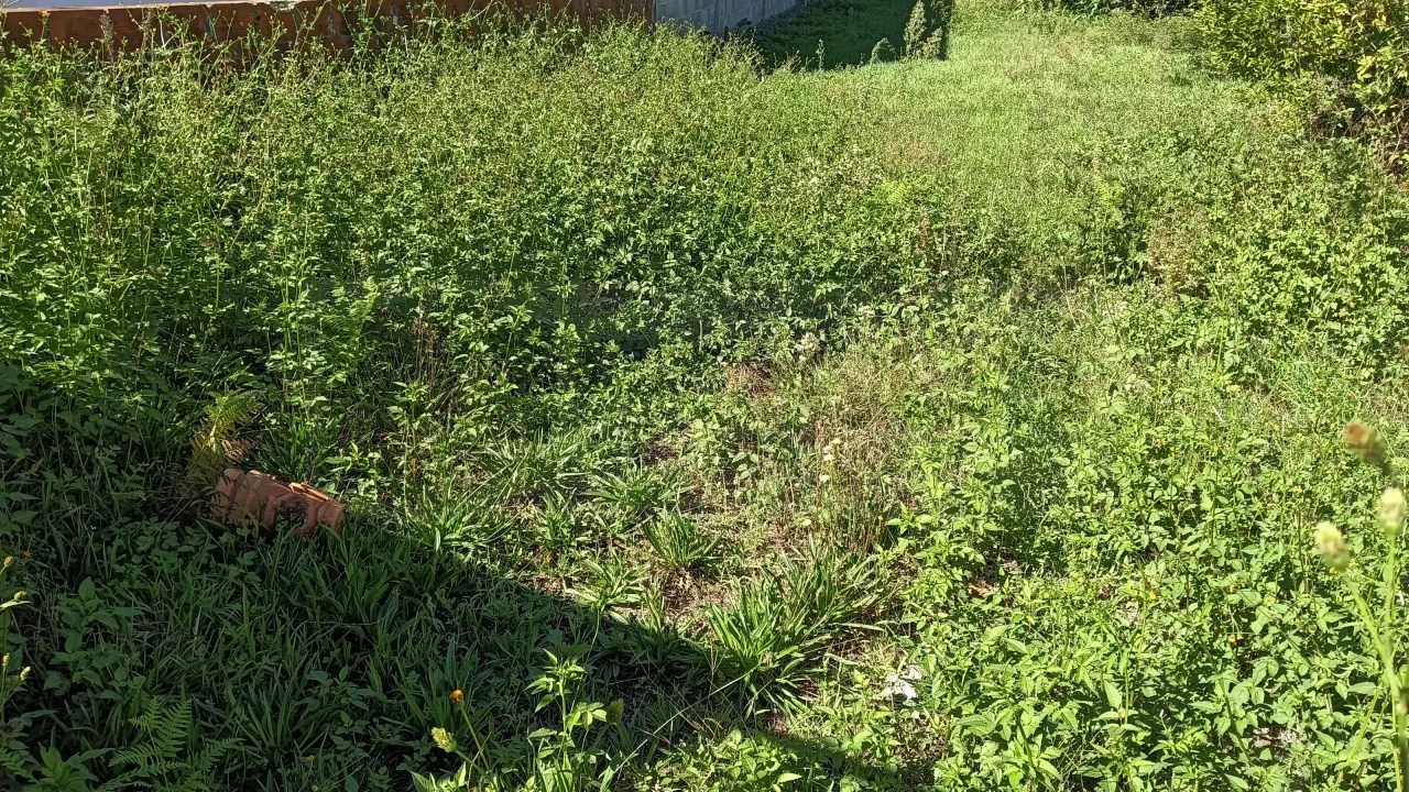 Terreno para Venda em Cacia Foto 6