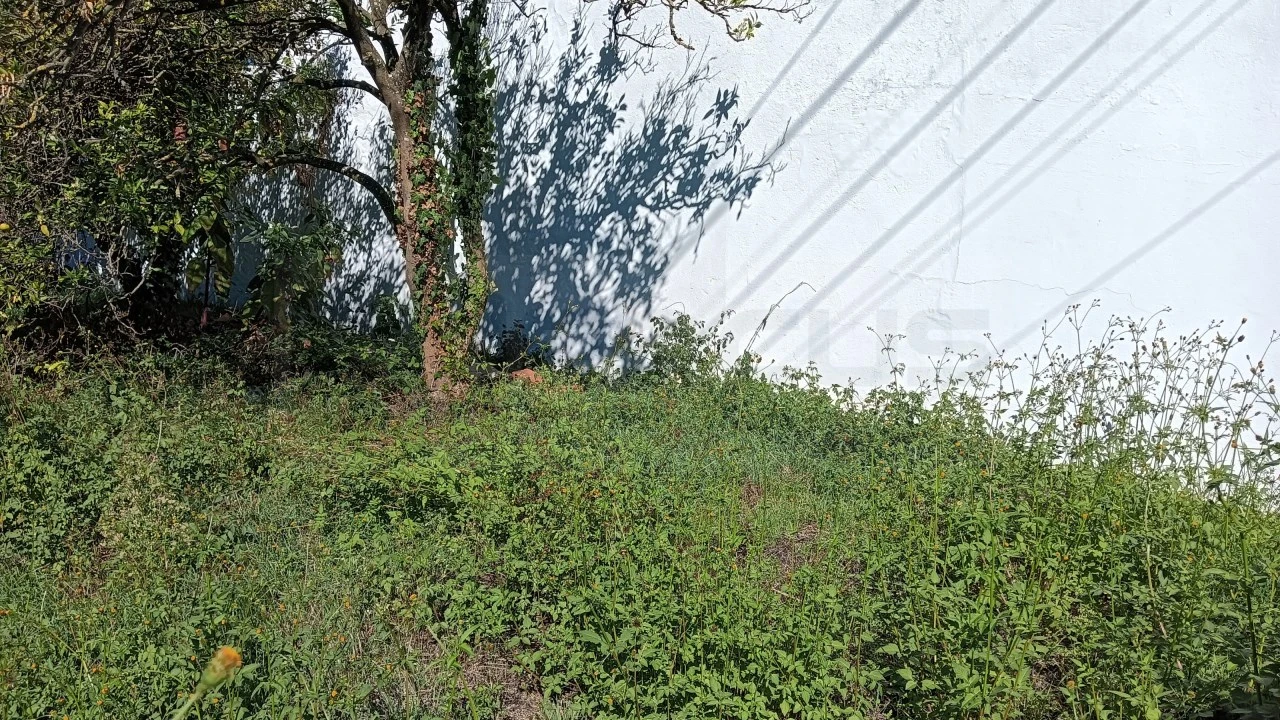 Terreno para Venda em Cacia Foto 7