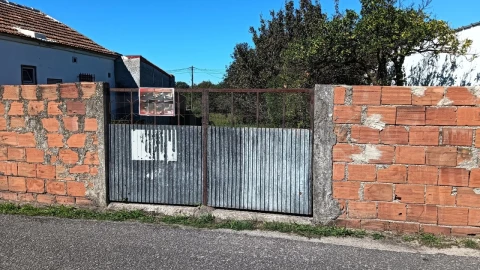 Terreno para Venda em Cacia