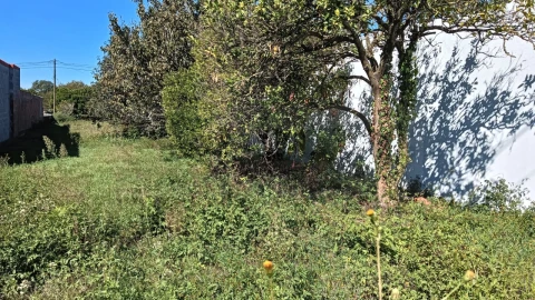 Terreno para Venda em Cacia