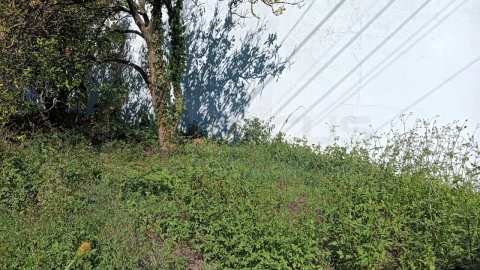 Terreno para Venda em Cacia