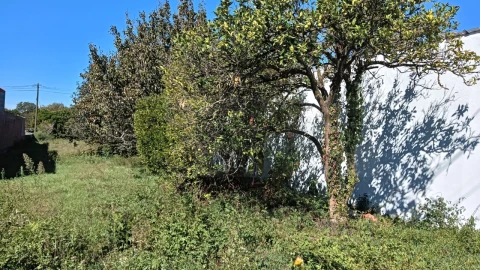 Terreno para Venda em Cacia