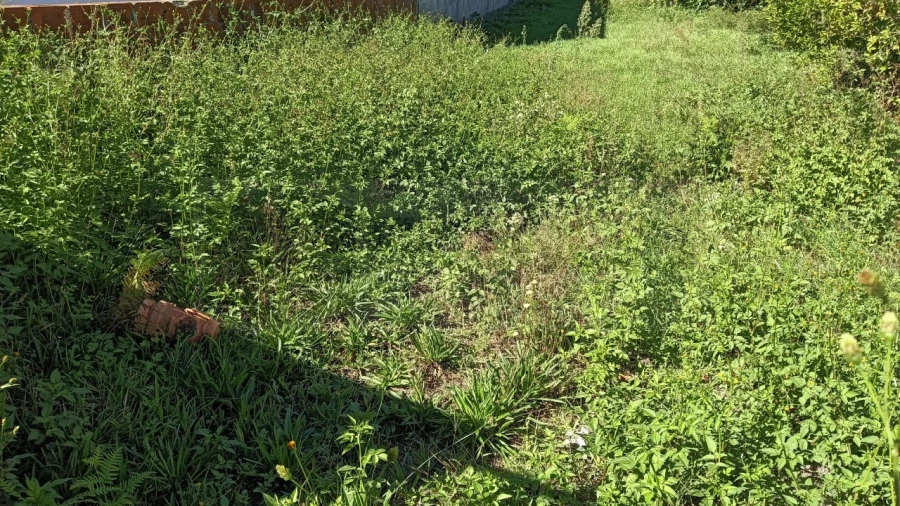 Terreno para Venda em Cacia Foto 6