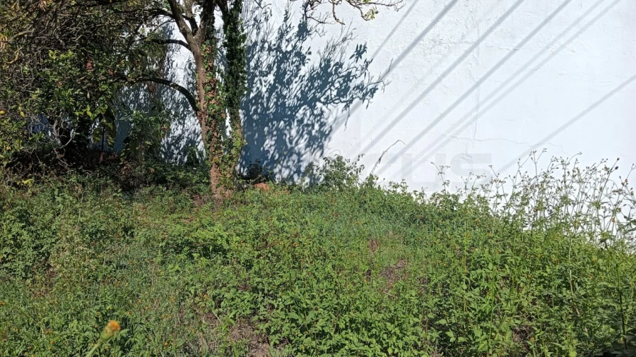 Terreno para Venda em Cacia Foto 7