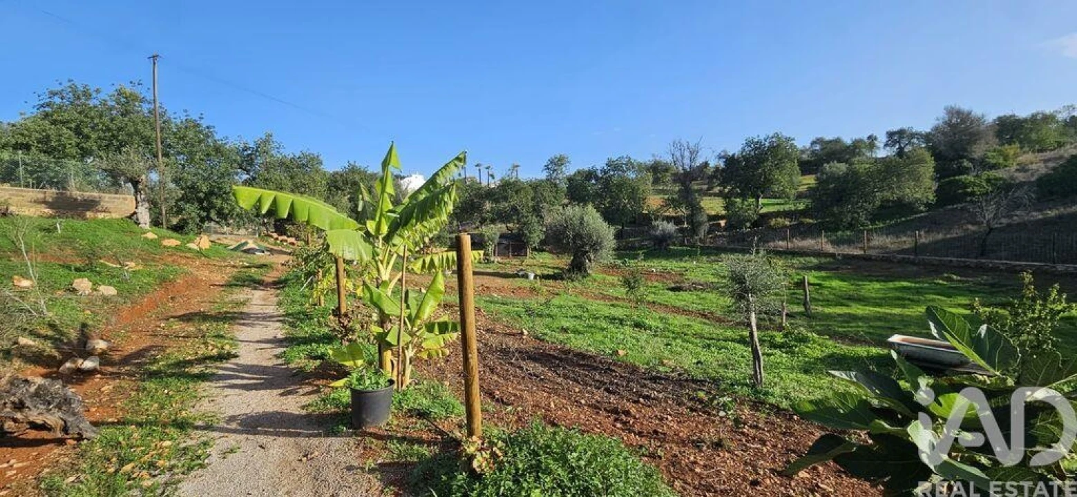 Terreno para Venda em Boliqueime Foto 13
