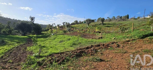Terreno para Venda em Boliqueime