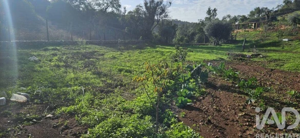 Terreno para Venda em Boliqueime