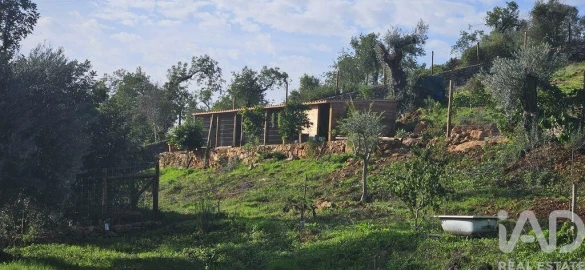 Terreno para Venda em Boliqueime