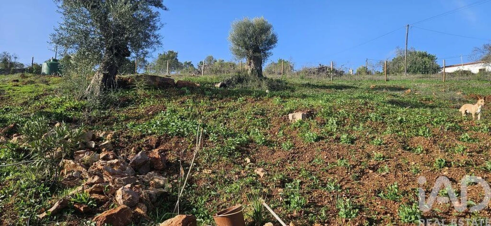 Terreno para Venda em Boliqueime Foto 16