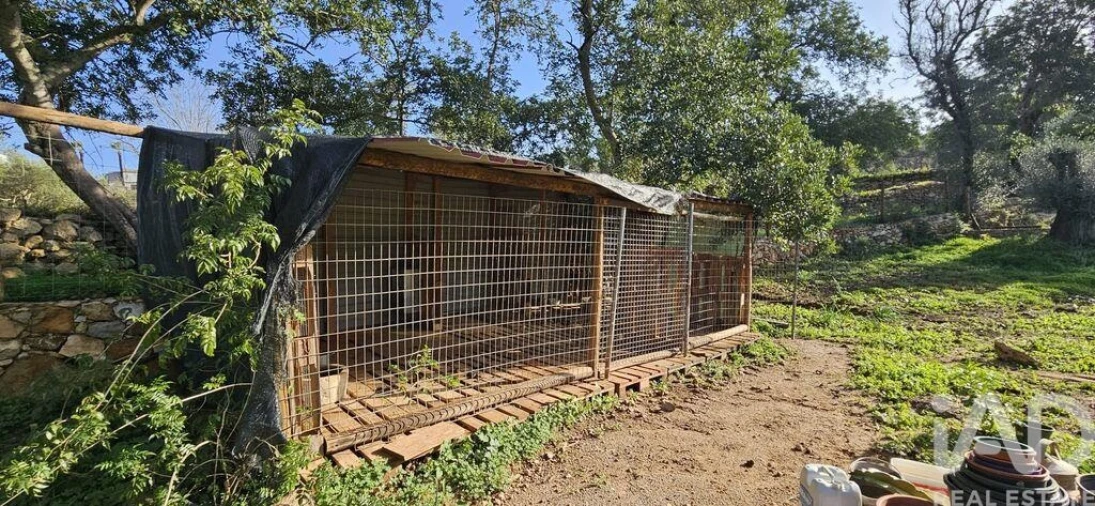 Terreno para Venda em Boliqueime Foto 10