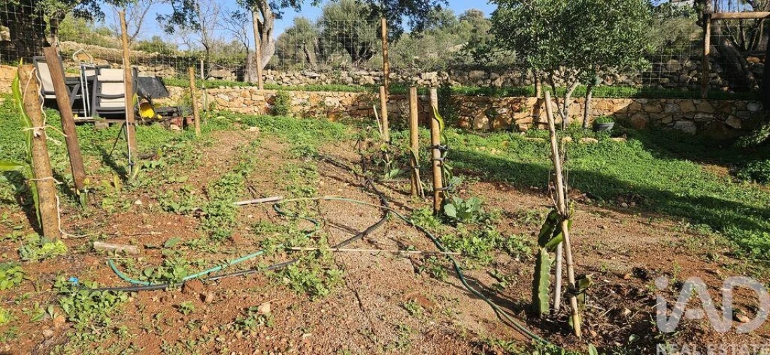 Terreno para Venda em Boliqueime Foto 11