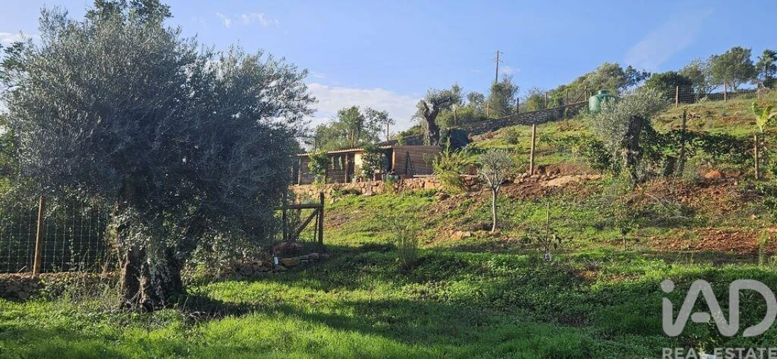 Terreno para Venda em Boliqueime Foto 8
