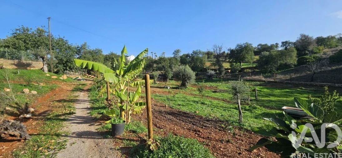 Terreno para Venda em Boliqueime Foto 13