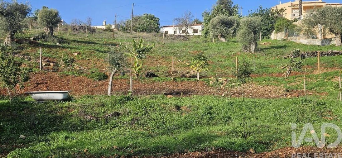 Terreno para Venda em Boliqueime Foto 7