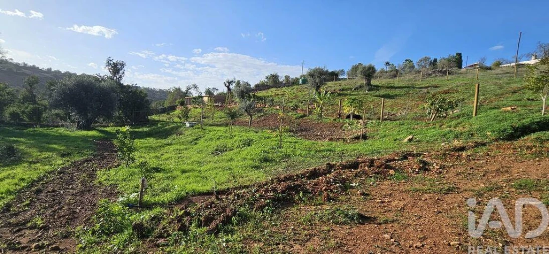 Terreno para Venda em Boliqueime Foto 5