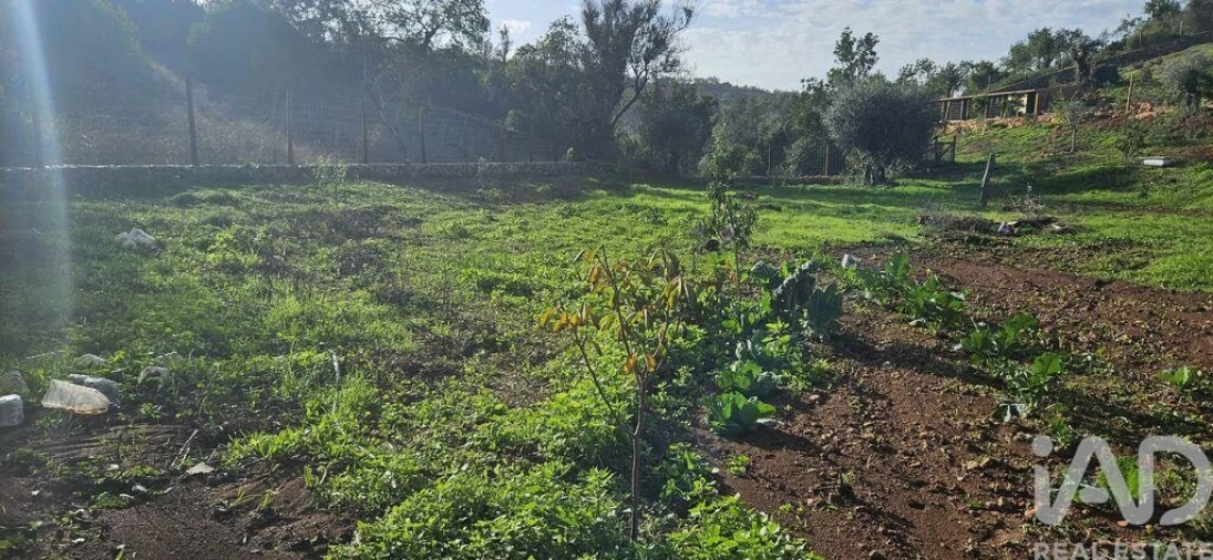 Terreno para Venda em Boliqueime Foto 3