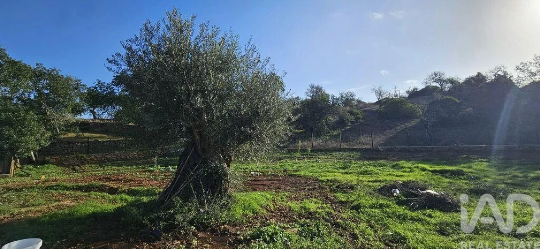 Terreno para Venda em Boliqueime Foto 9