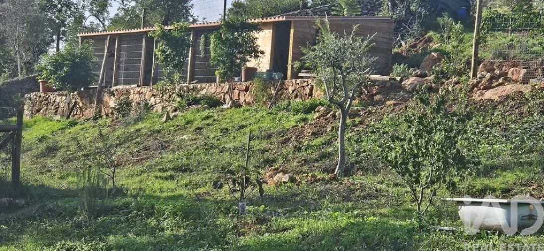 Terreno para Venda em Boliqueime Foto 2