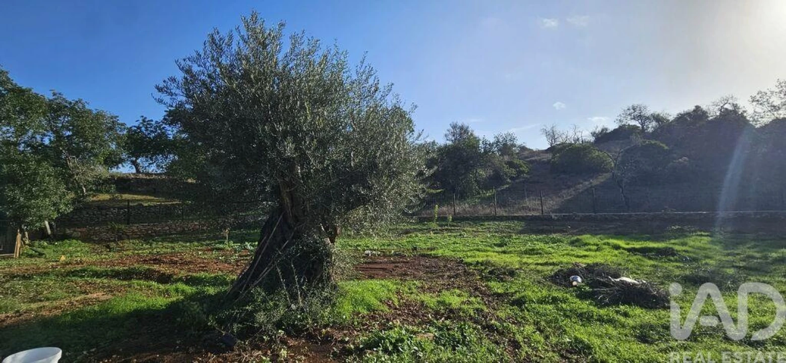 Terreno para Venda em Boliqueime Foto 9