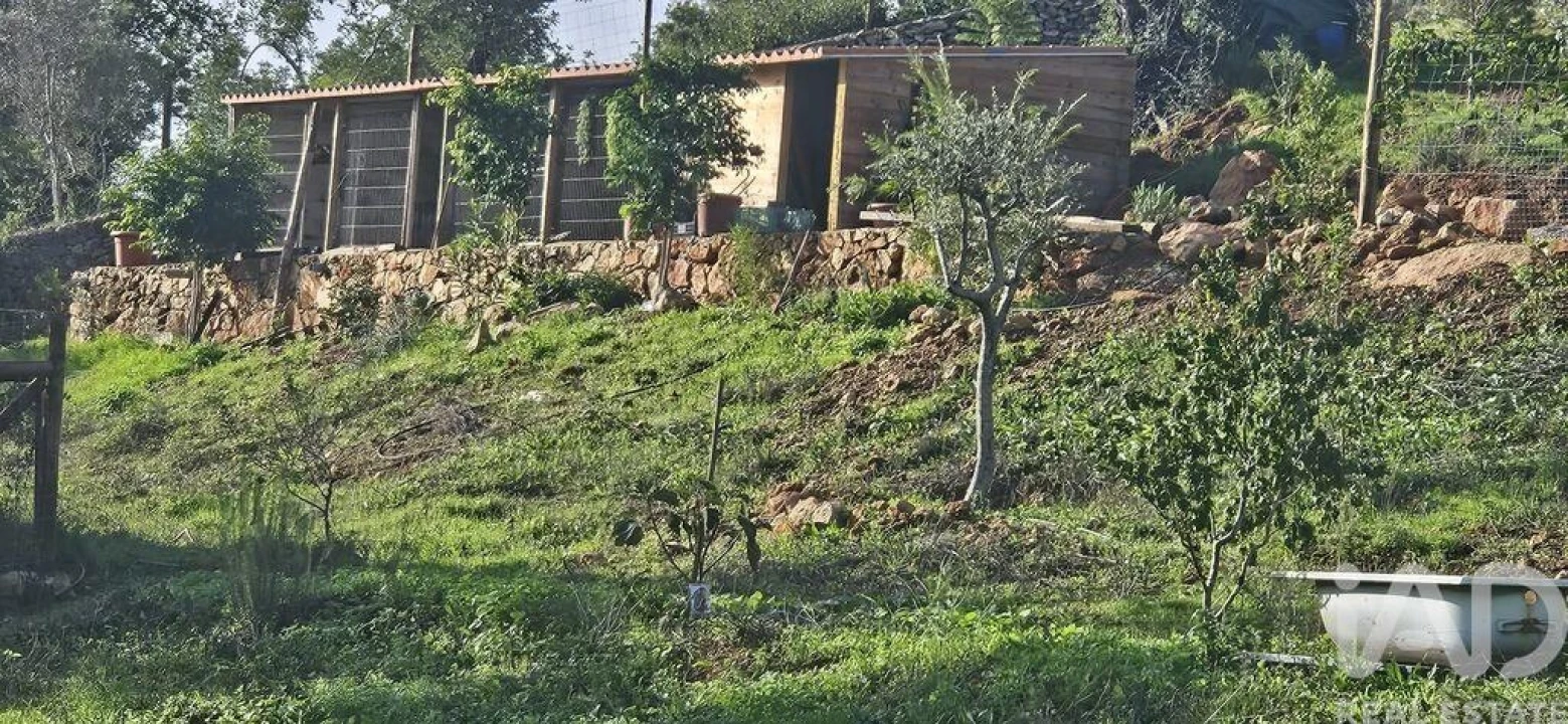 Terreno para Venda em Boliqueime Foto 2