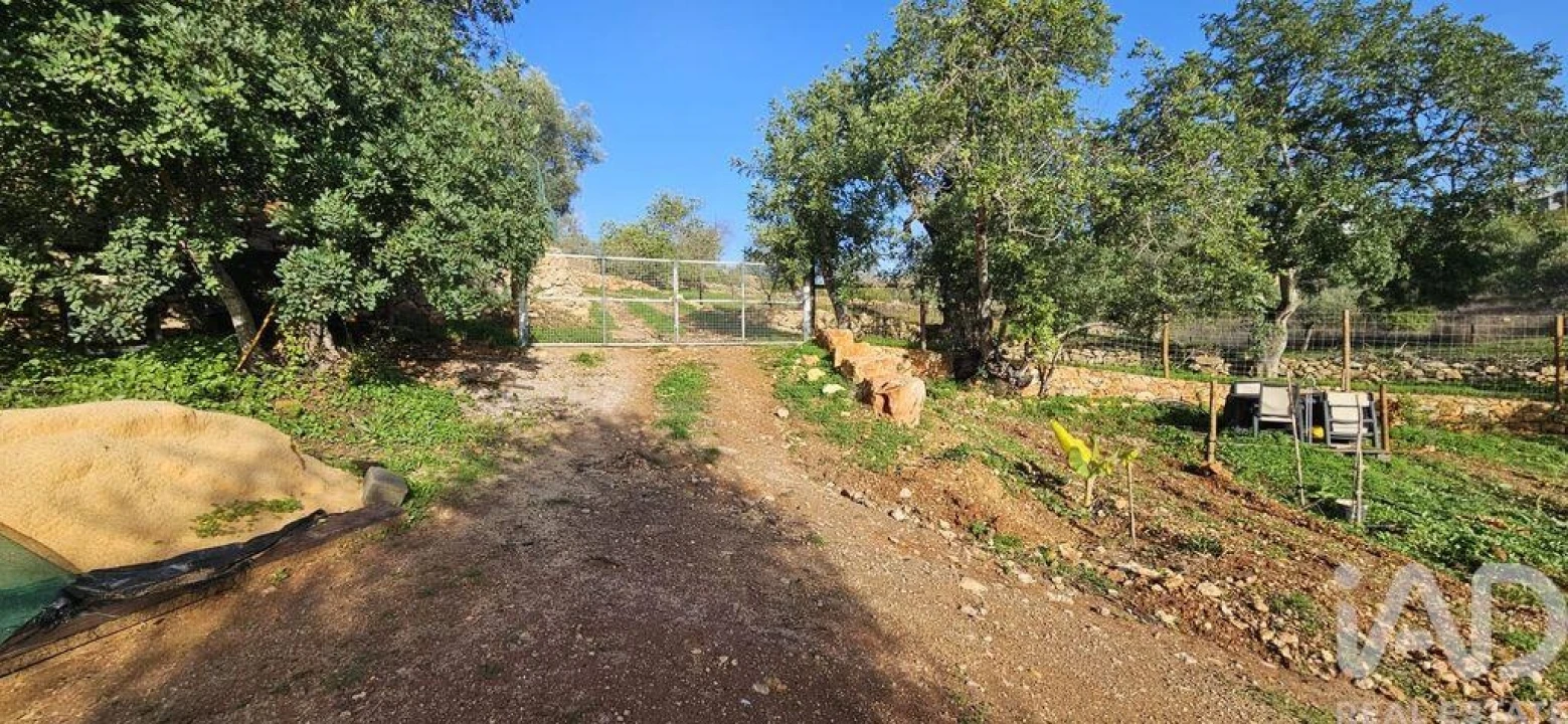 Terreno para Venda em Boliqueime Foto 12