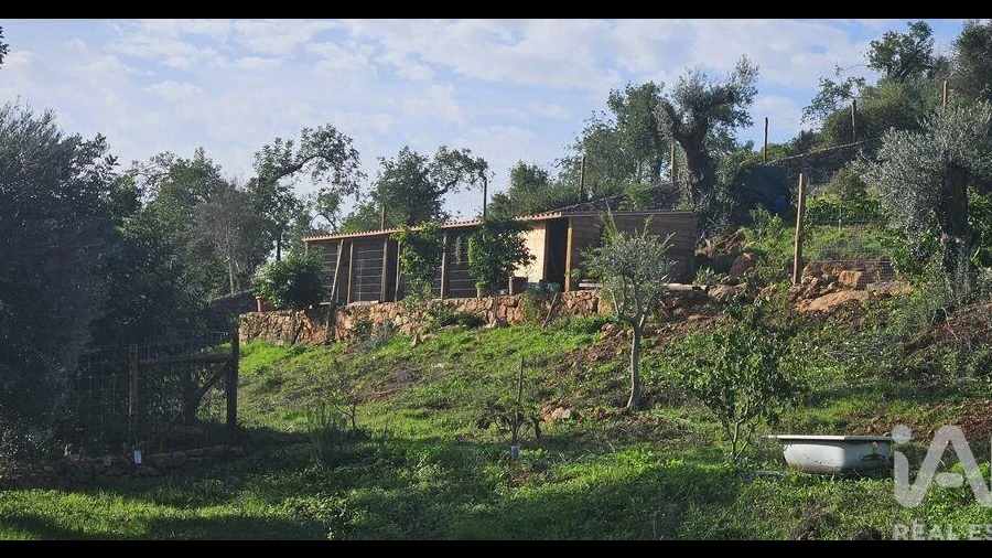 Terreno para Venda em Boliqueime