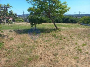 Moradia T4 para Venda em Madalena e Beselga