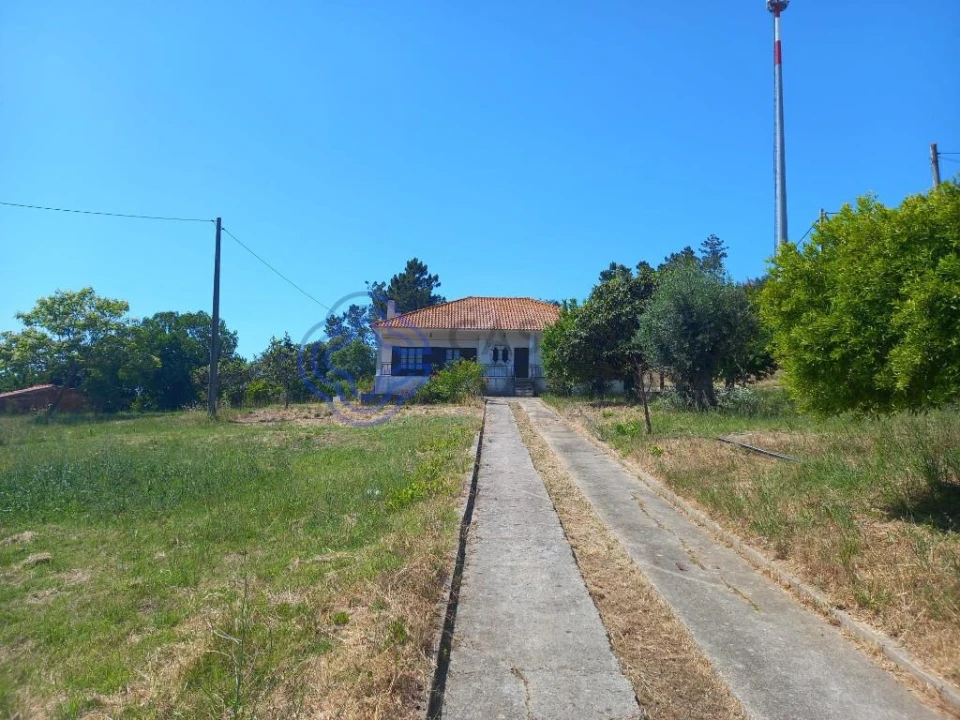 Moradia T4 para Venda em Madalena e Beselga Foto 3