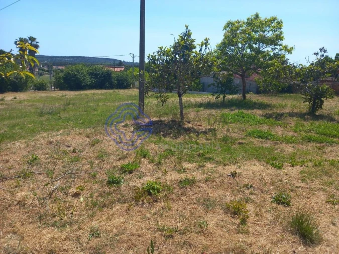 Moradia T4 para Venda em Madalena e Beselga Foto 32