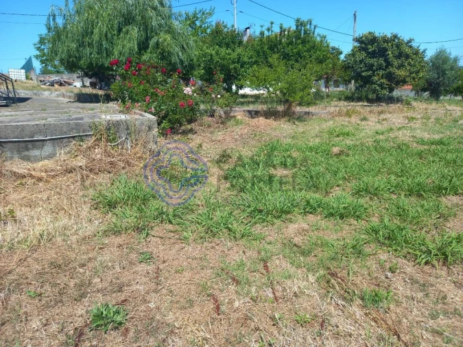 Moradia T4 para Venda em Madalena e Beselga Foto 35
