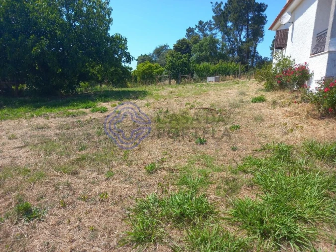 Moradia T4 para Venda em Madalena e Beselga Foto 33