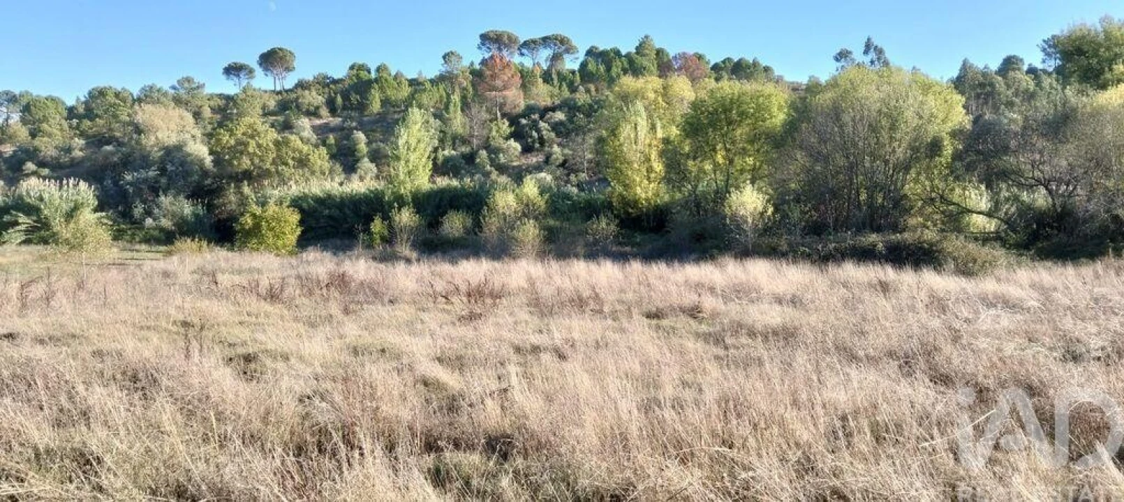 Terreno para Venda em Gançaria Foto 2