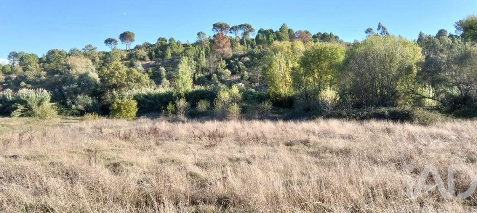 Terreno para Venda em Gançaria Foto 4