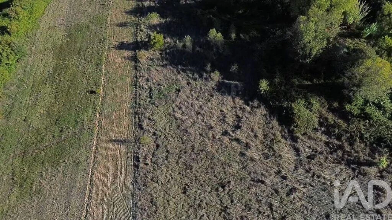 Terreno para Venda em Gançaria Foto 21