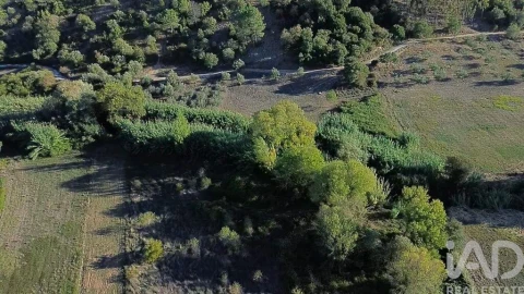 Terreno para Venda em Gançaria