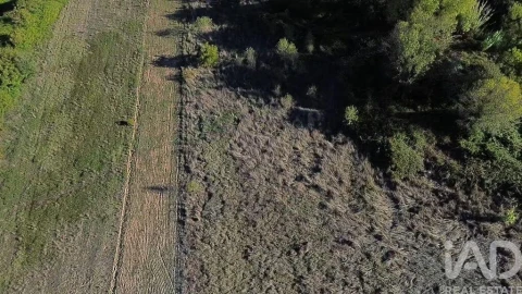 Terreno para Venda em Gançaria