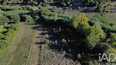 Terreno para Venda em Gançaria