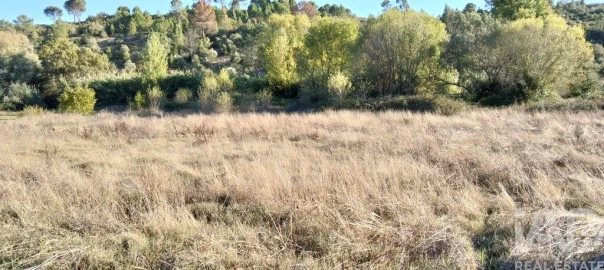 Terreno para Venda em Gançaria