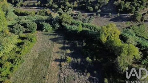 Terreno para Venda em Gançaria