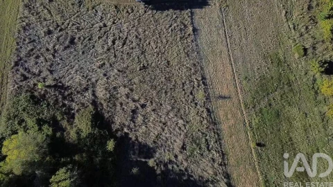 Terreno para Venda em Gançaria
