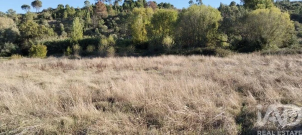 Terreno para Venda em Gançaria
