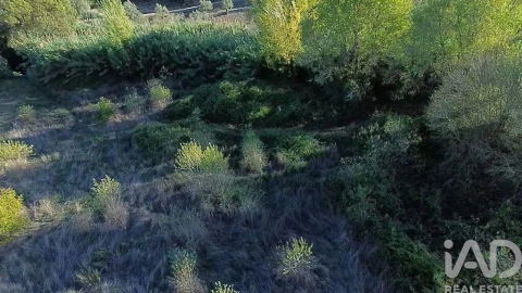 Terreno para Venda em Gançaria