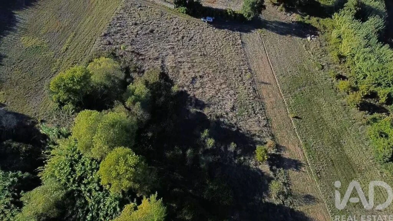 Terreno para Venda em Gançaria Foto 14