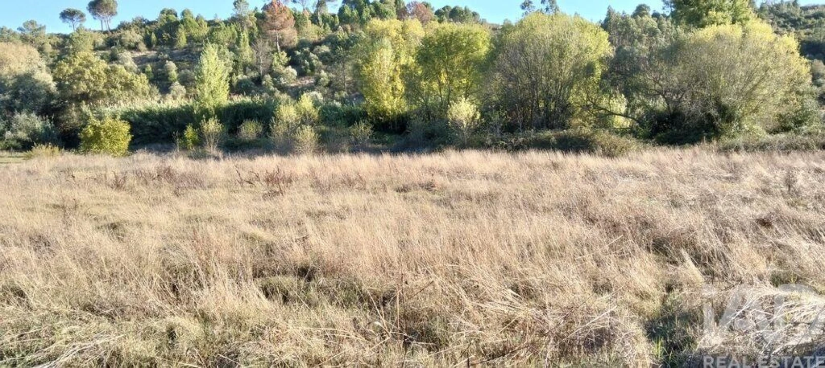 Terreno para Venda em Gançaria Foto 1