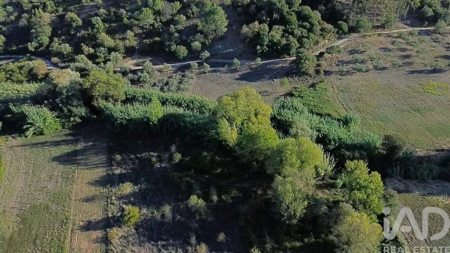 Terreno para Venda em Gançaria Foto 13
