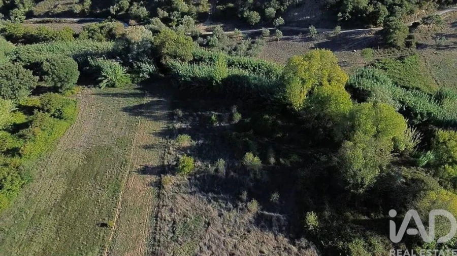 Terreno para Venda em Gançaria Foto 18