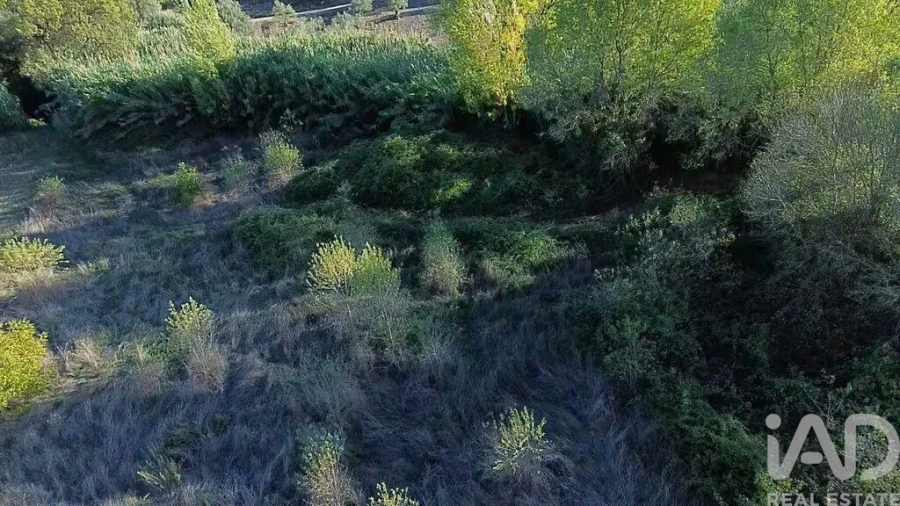 Terreno para Venda em Gançaria Foto 5