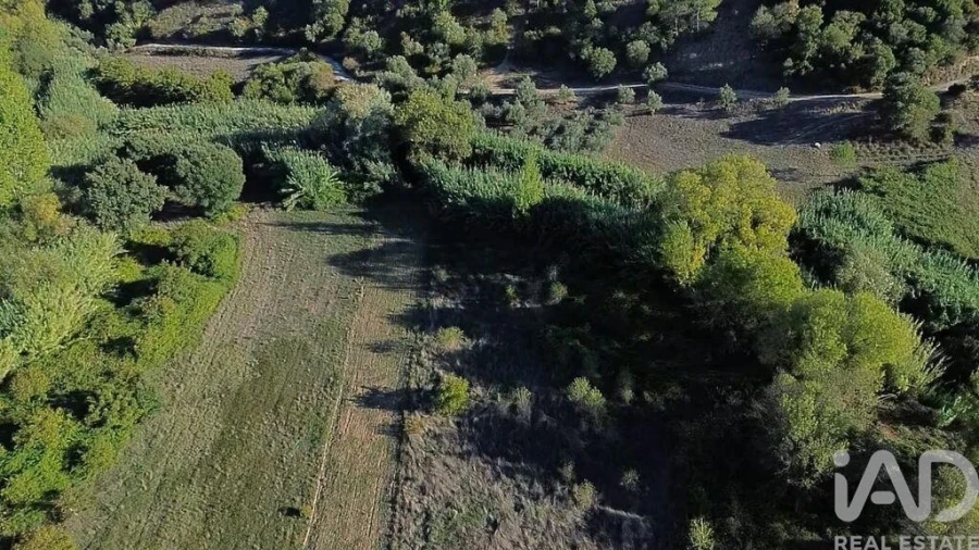 Terreno para Venda em Gançaria Foto 19
